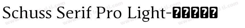 Schuss Serif Pro Light字体转换